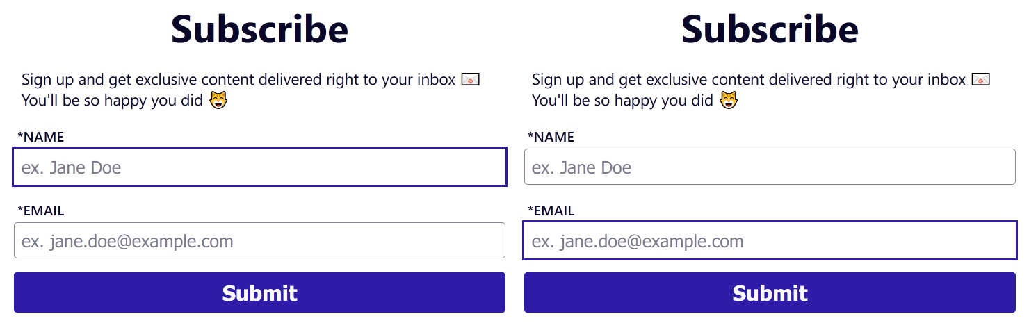 Two forms appear side by side asking users to subscribe. In the first, the “name” field is highlighted in a blue box. In the second, the “email” field is highlighted.