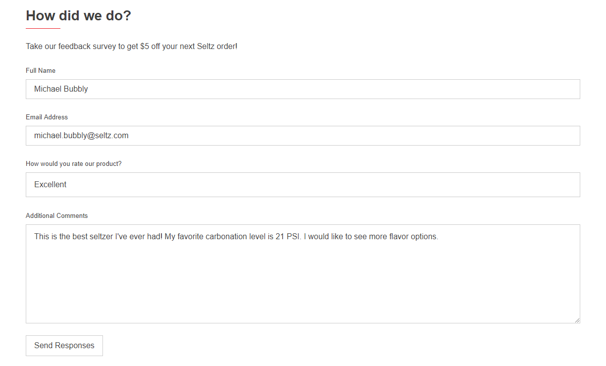 Seltz website feedback form