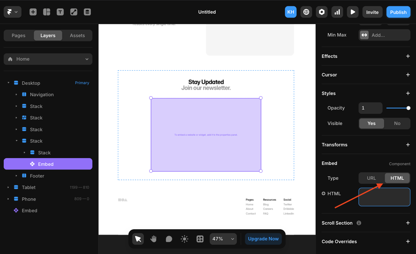 Set HTML Embed Type